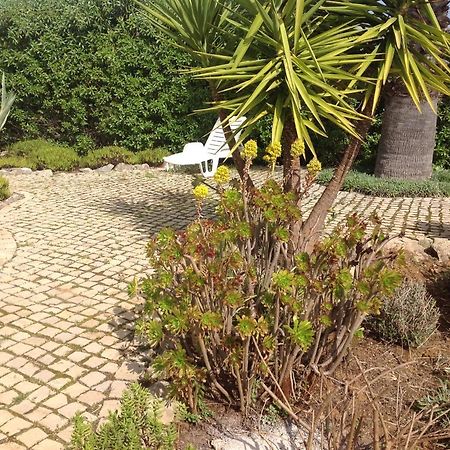 몬카라파초 Casa Oliviera B&B 외부 사진