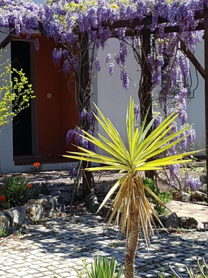 몬카라파초 Casa Oliviera B&B 외부 사진